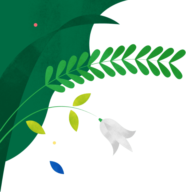 Tulip and Leaves