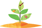 https://www.thoughtfarmer.com/wp-content/uploads/2013/06/Bugs-on-plant.png