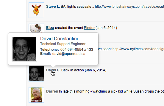 Mini-profile on intranet