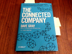 connected_company_245