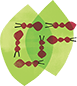 https://www.thoughtfarmer.com/wp-content/uploads/2018/08/Ants-illustration.png