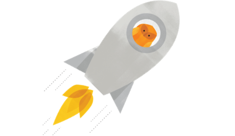 Plan & Launch