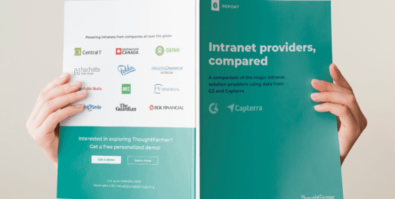 intranet providers