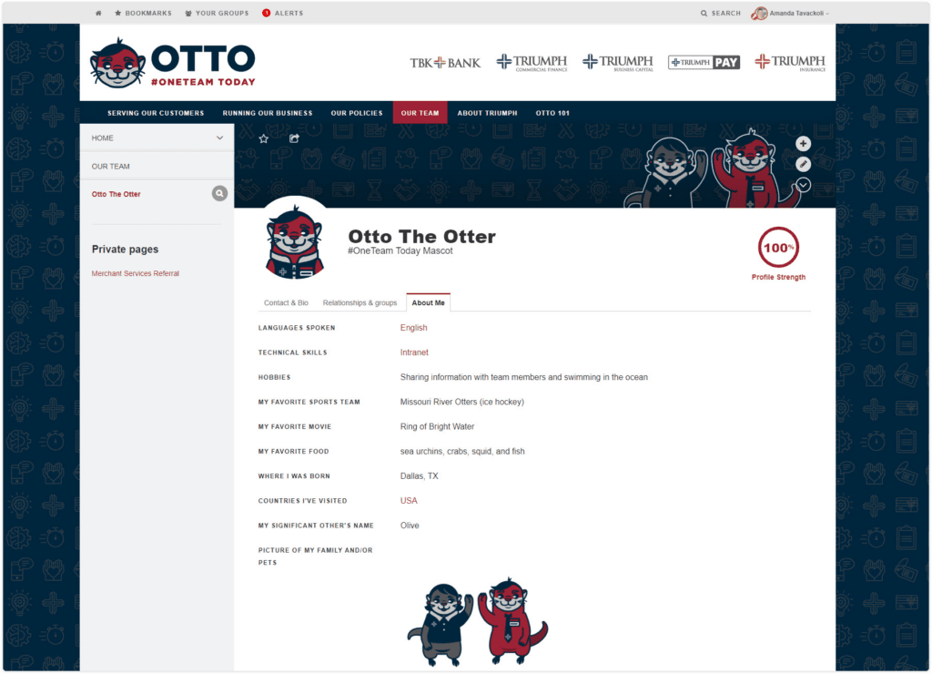 Triumph Bank OTTO Profile