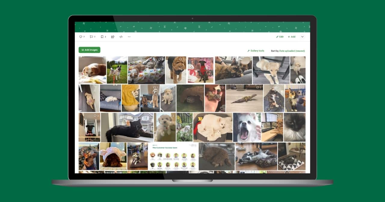 Why every intranet needs a pet gallery [adorable photos included]