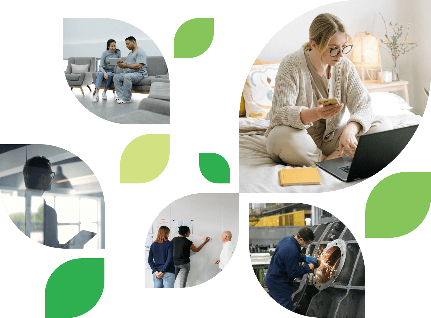 Client Case Study Hero Leaves